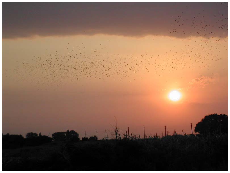 ������� �� ������